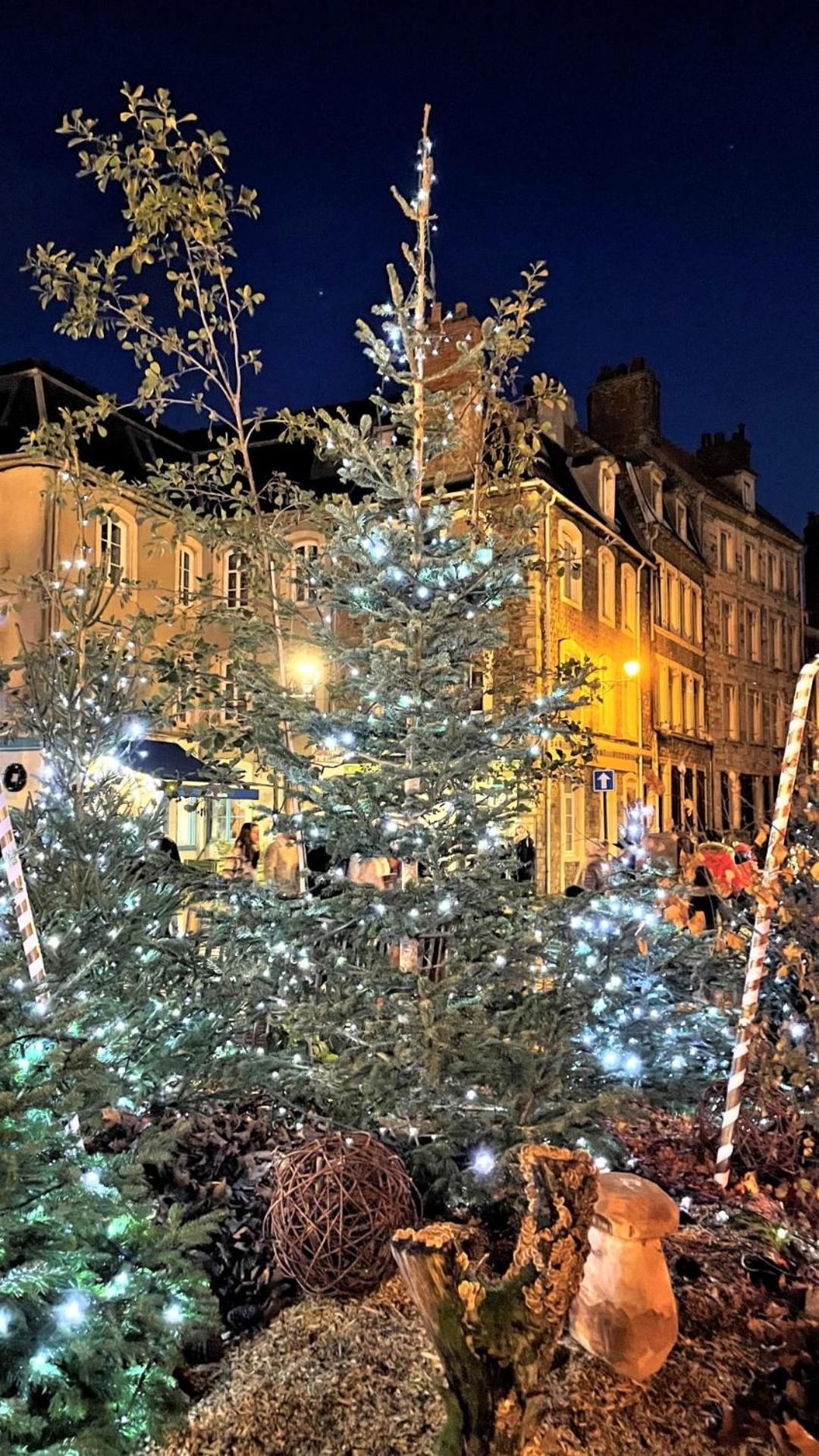 Cocon Lumineux Proche De La Ville Fortifiee Et De Nausicaa Булонь-сюр-Мер Экстерьер фото